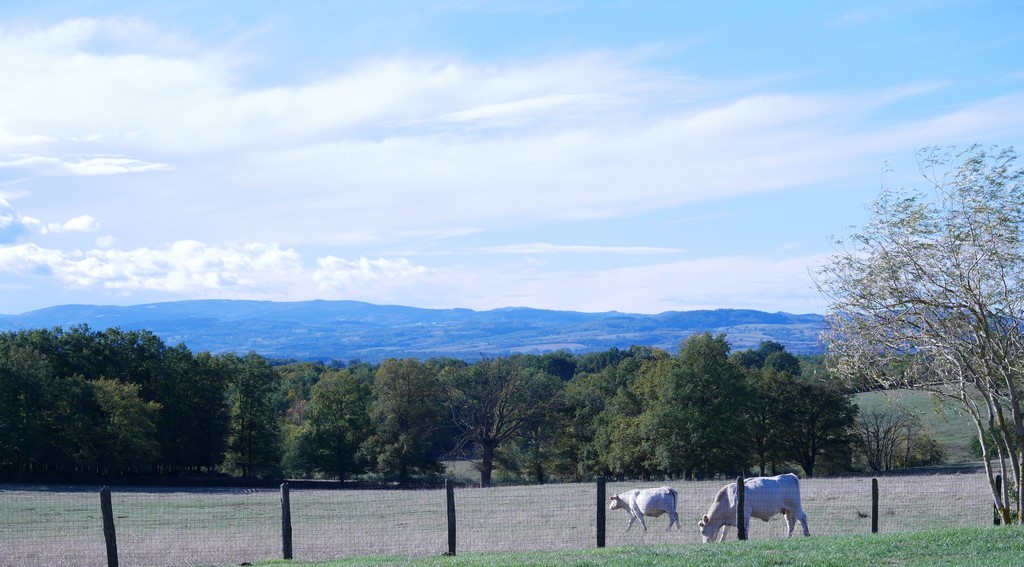 Vue sur les Monts du Forez