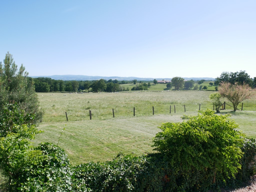 Vue sur la prairie