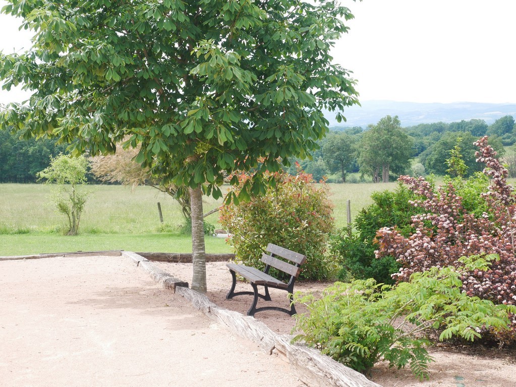 A l'ombre du marronnier